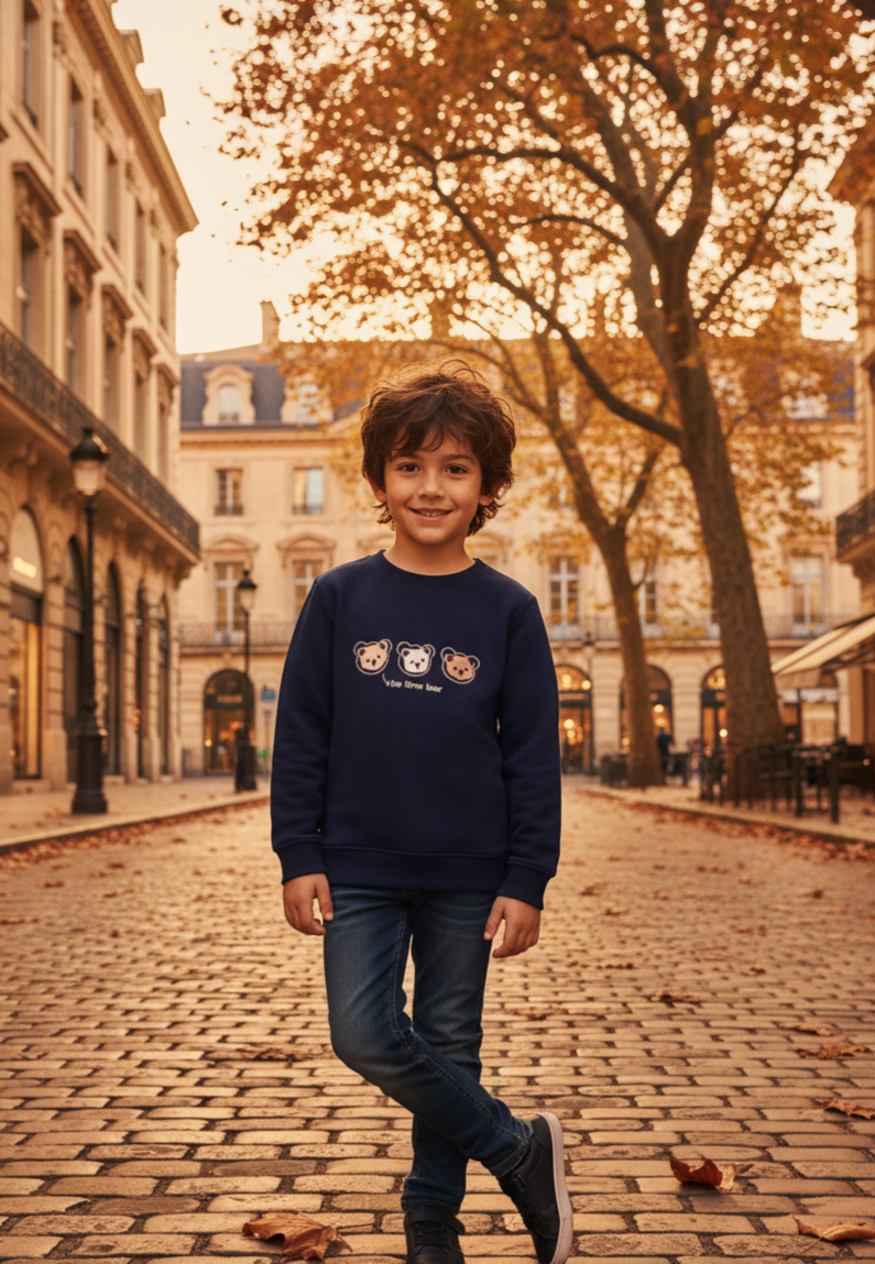 ERKEK ÇOCUK 1-4 YAŞ APLİKE  AYCIKLI SWEAT- AĞRI